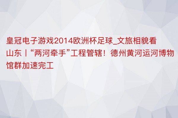 皇冠电子游戏2014欧洲杯足球_文旅相貌看山东丨“两河牵手”工程管辖！德州黄河运河博物馆群加速完工