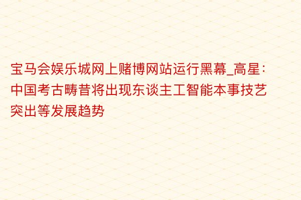 宝马会娱乐城网上赌博网站运行黑幕_高星：中国考古畴昔将出现东谈主工智能本事技艺突出等发展趋势